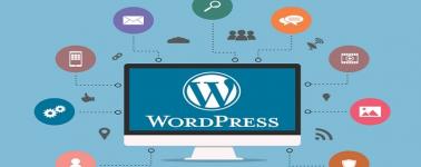 Características de WordPress